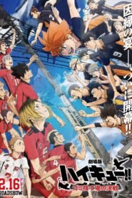 HAIKYU!! A Batalha na Lixeira